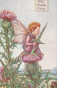 Thistle Fairy